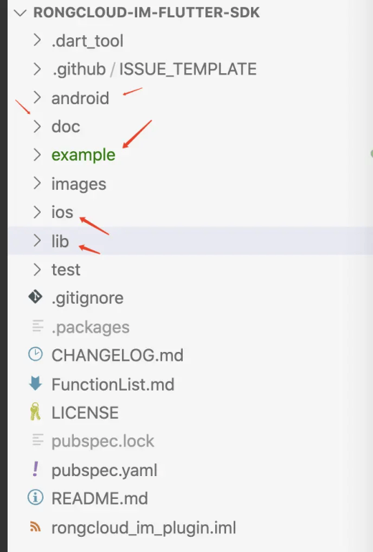 融云 Flutter IM SDK 解析