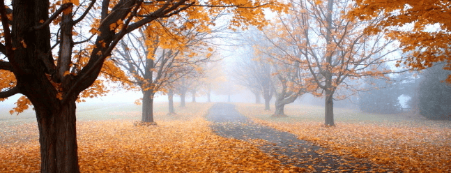 爱奇艺视频开户流程有哪些？开户价格是多少？