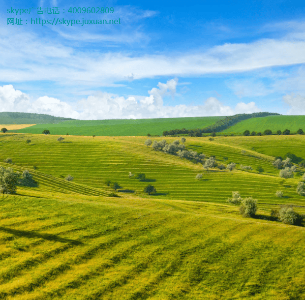 Skype开户价格联合创始人另起炉灶 推加密应用Wire