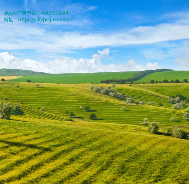 微软不再允许用户用Facebook账户登录Skype信息流广告客服