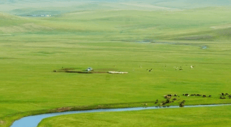 新浪推广广告效果好不好？推广广告全投放。