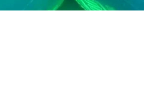 爱奇艺广告投放的技术武器:AI如何改变娱乐产业的常识?