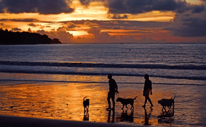 你知道懂球帝开户需要多少钱吗？懂球帝现在跑量具效果怎么样？