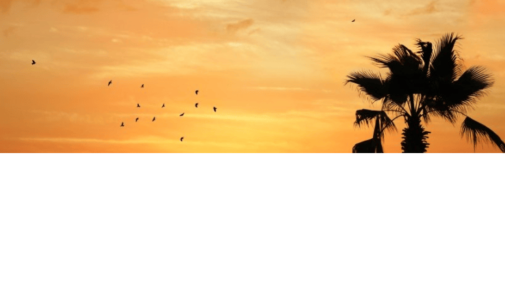 北京的懂球帝广告怎么做呢？懂球帝现在跑豆制品成本需要多少呢?