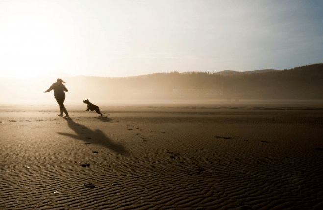 现在懂球帝跑食品行业效果怎么样？懂球帝推广怎么做？