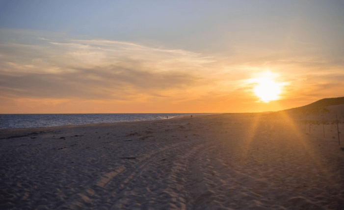 七猫现在跑绣花布成本需要多少钱呢?七猫广告投放效果怎么样?