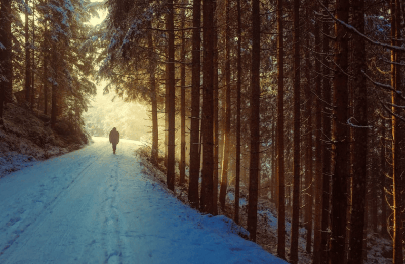 智慧树推广怎么做?智慧树信息流有哪些开户优惠活动?