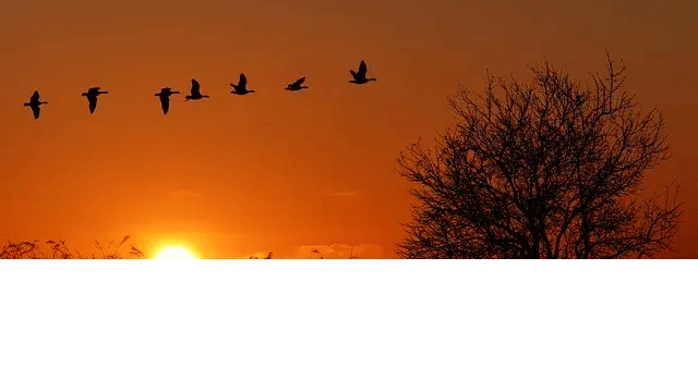 数据迁移测试教程：完整测试指南
