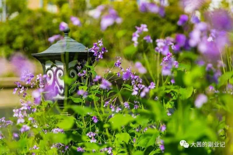 抖音账号运营干货技巧（八）：抖音运营的十大