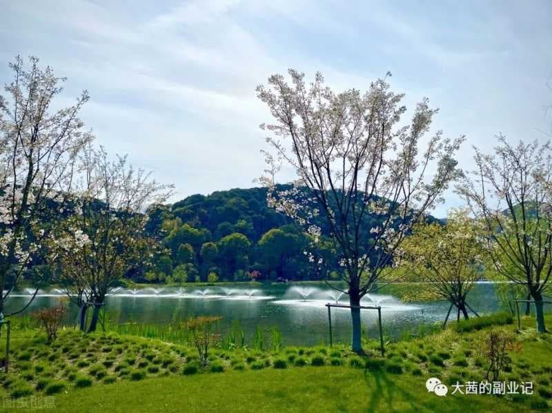 抖音账号运营干货技巧（八）：抖音运营的十大