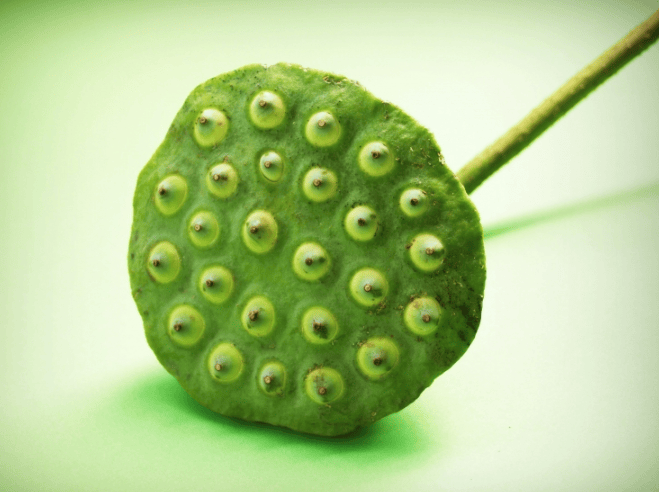 魅族信息流广告怎么做？魅族现在跑加粉成本需要多少钱？