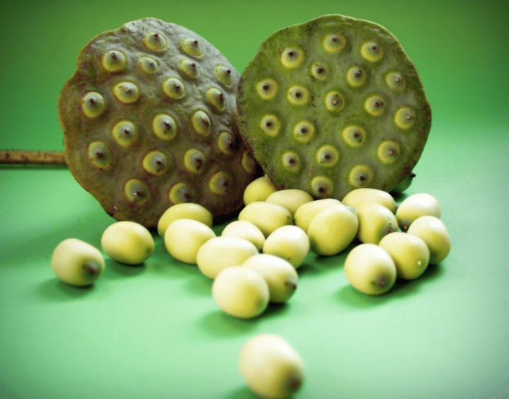 魅族信息流广告怎么做？魅族现在跑加粉成本需要多少钱？