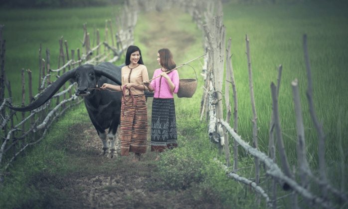 魅族信息流广告竞价多少钱？魅族商店开户客服电话是多少？