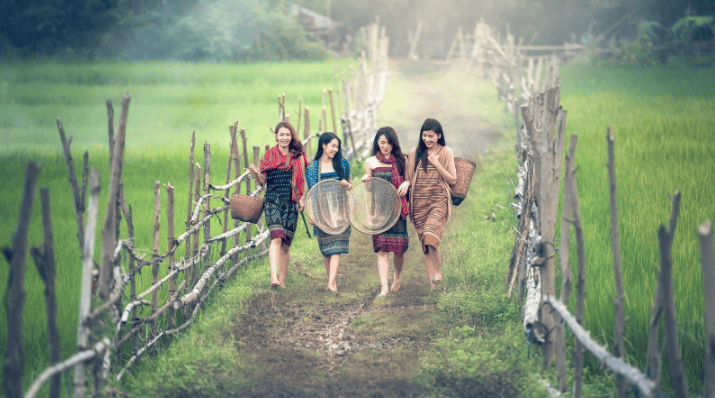 魅族信息流广告竞价多少钱？魅族商店开户客服电话是多少？