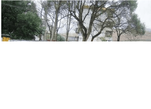 魅族农村刷广告开户墙标语 OPPO和vivo看呆了~