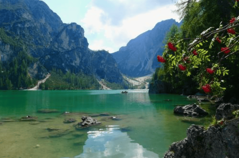 小米广告多少钱?小米广告怎么做?