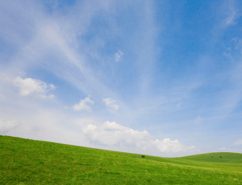 小米广告多少钱？小米广告怎么做？