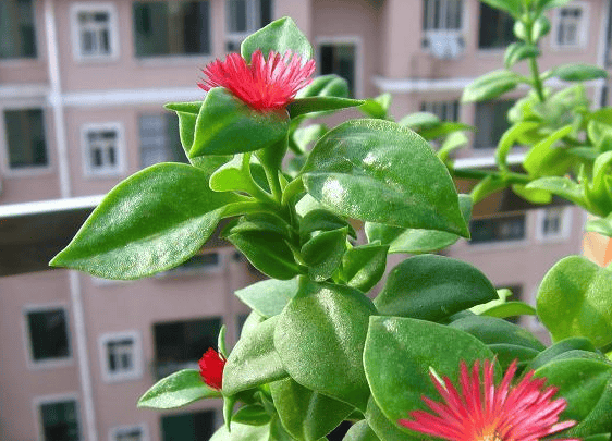 在小米推广有色金属怎么开通账户？