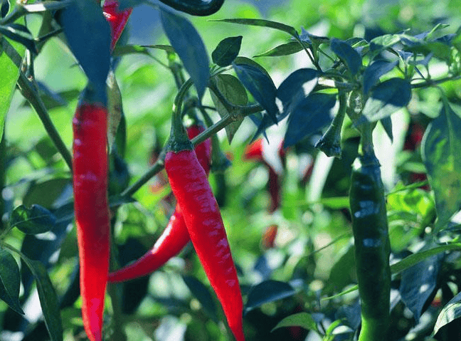 祛痘广告跑小米商店推广日耗是多少？