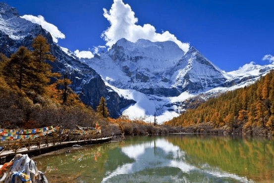 脑白金是如何在小米商店投放广告的?