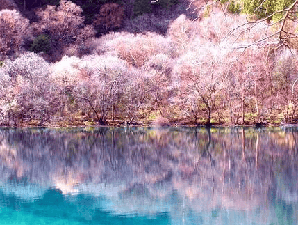 小米广告全国有哪些代理商?小米推广效果好吗?