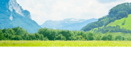 小米信息流广告是如何推动制造业转型？