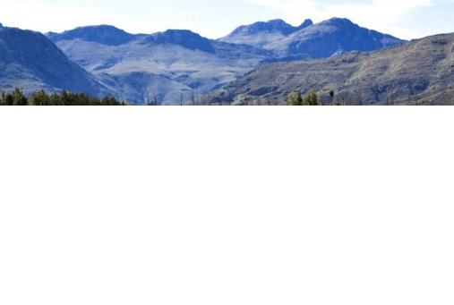 在北京小米信息流广告怎么做?广告有什么政策?