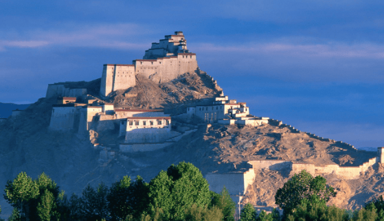 小米广告怎么收费?在福建跑茶叶效果好吗?