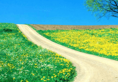 在武汉小米推广怎么收费？小米推广怎么做？