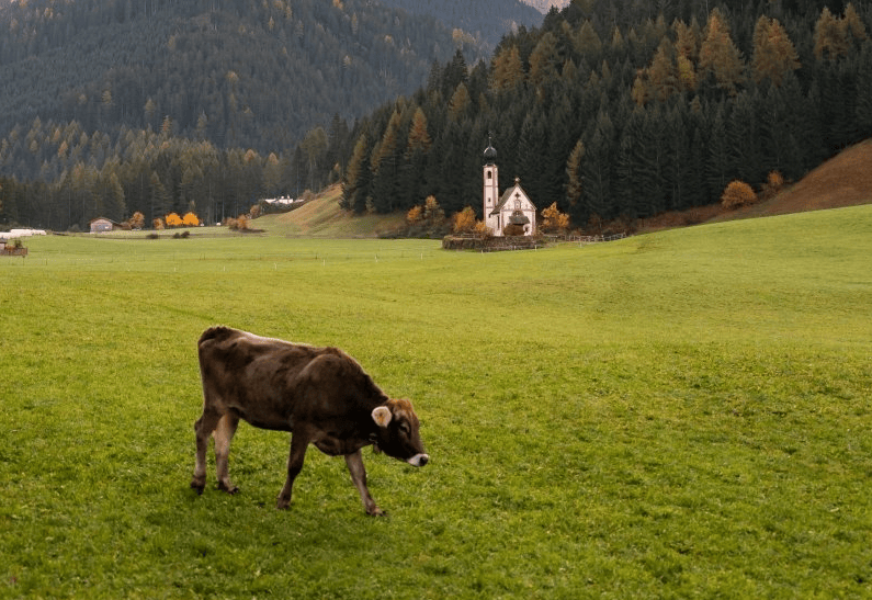 小米商店推广效果好嘛,收费高嘛?