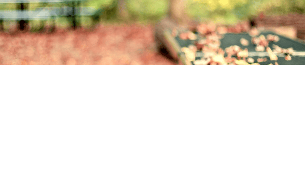 小米商店账户怎么开通?开户优惠活动