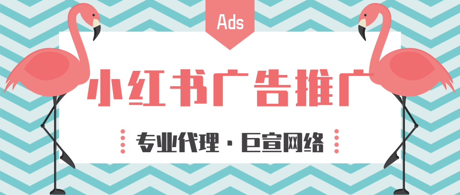 小红书蒲公英是什么?有什么作用?