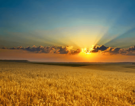 想在华为手机的浏览器上投放广告,应该找哪里呢?