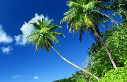 华为推广平台有哪些?华为广告投放到哪些位置了?