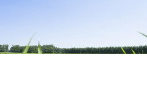 在天津华为广告怎么投放?广告有什么优惠活动吗?