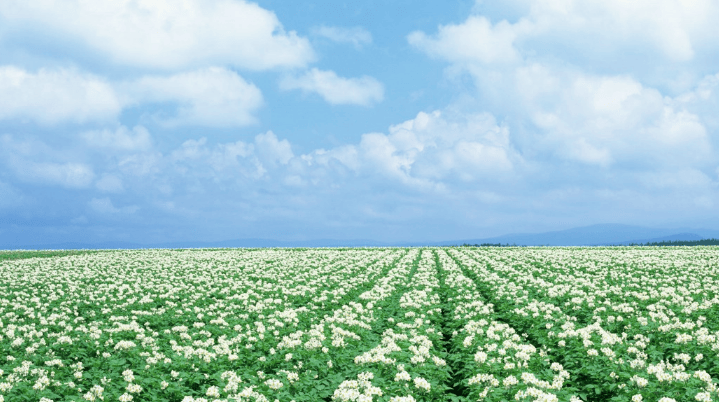 华为商店开户怎么做？华为信息流广告