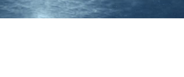 华为广告投放:CS以评分第一荣获F&S全球技术驱动领导力大奖