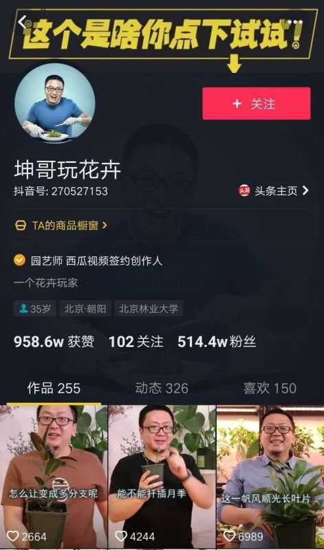 抖音推广：抖音的分类与变现方式