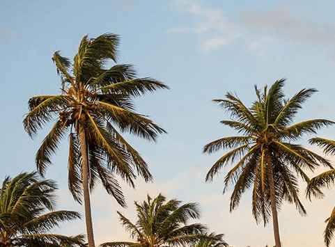 在深圳oppo推广家电维修怎么样?oppo推广有什么政策?