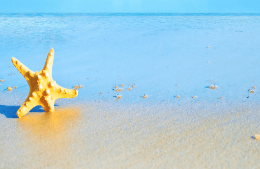 oppo信息流投放家具广告效果好吗?