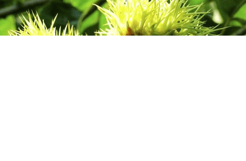 在上海房地产行业投放oppo广告有什么优惠活动？