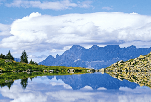 在上海oppo广告怎么投放？有什么广告政策？