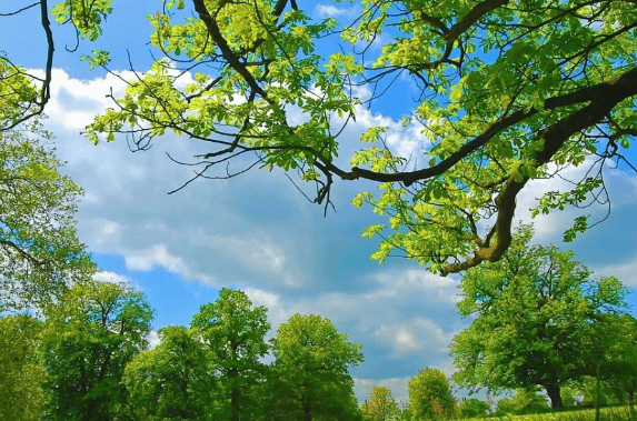 OPPO推广开户流程有哪些?在上海跑电商培训行业怎么样?