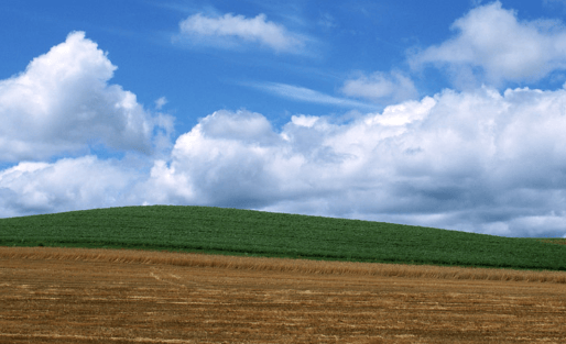 在北京OPPO广告怎么收费?OPPO商店广告怎么开户?