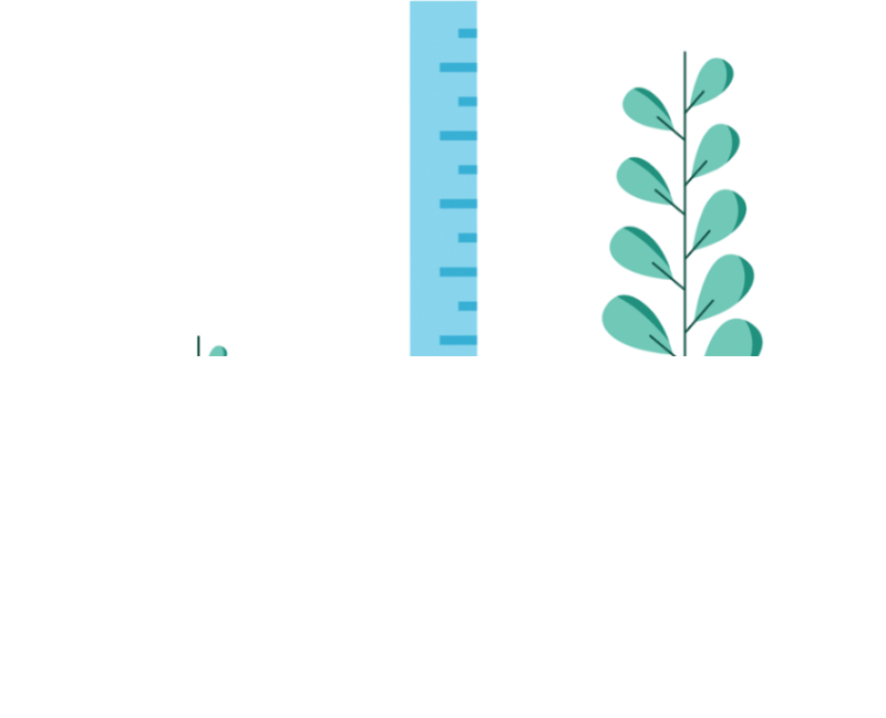 Facebook广告开户平台：实验总览