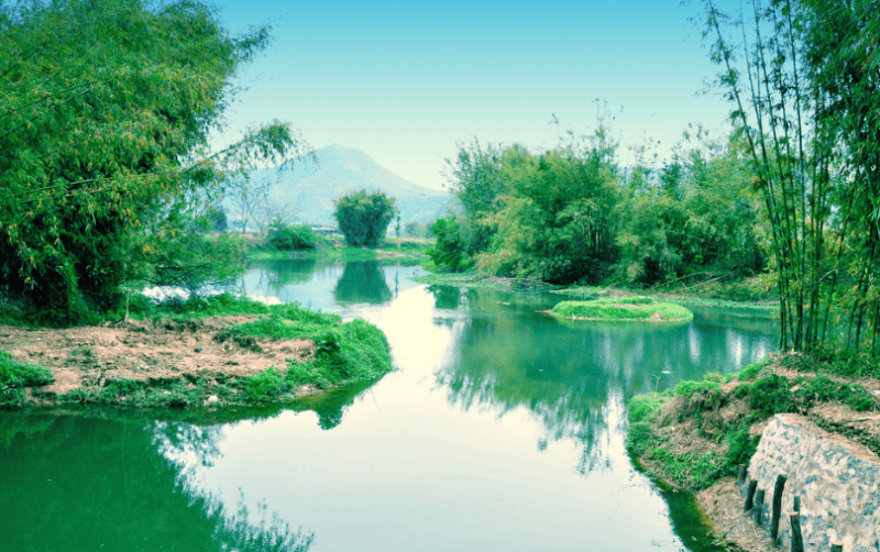 oppo广告代理是哪家公司？