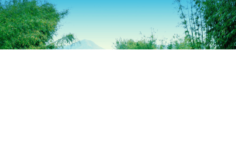 普通人和千万富翁就差做个oppo推广！