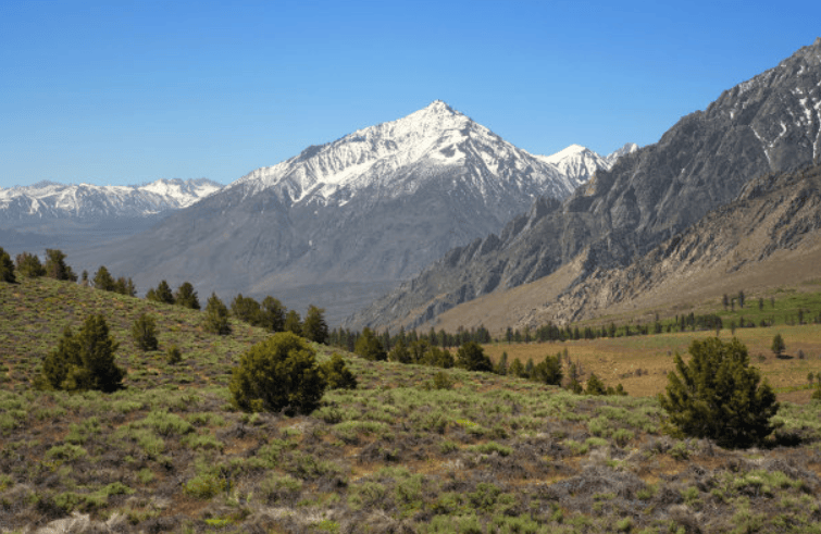 普通人和千万富翁就差做个oppo推广！