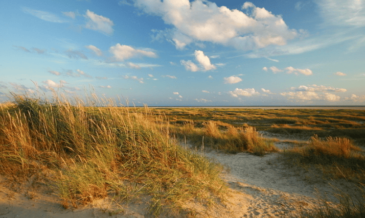 在oppo电商广告平台上发家致富的企业有哪些？