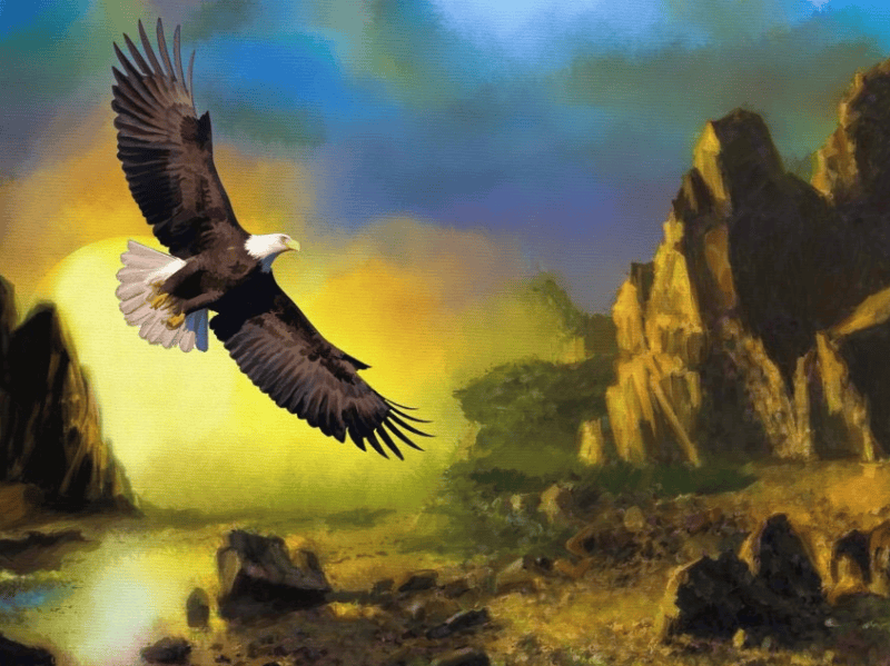 小红书广告跑剃须刀广告下单成本多少?小红书多少钱开户？